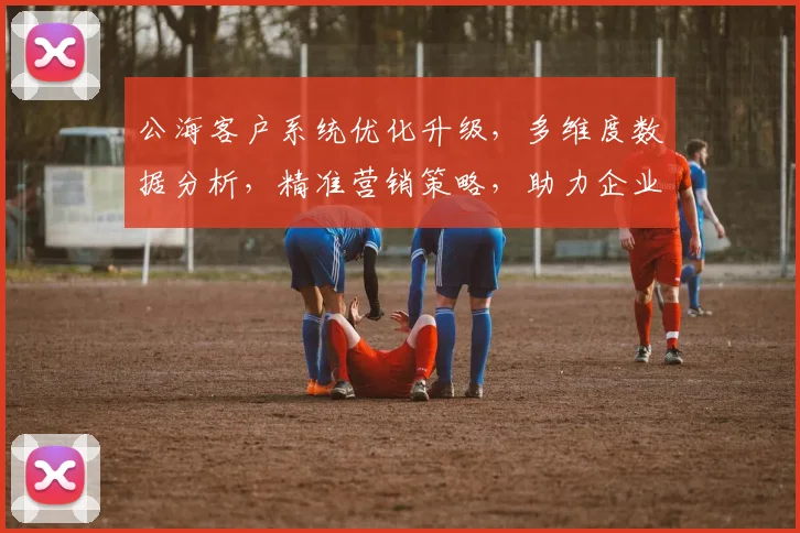 公海客户系统优化升级,多维度数据分析,精准营销策略,助力企业腾飞,三重福利大放送