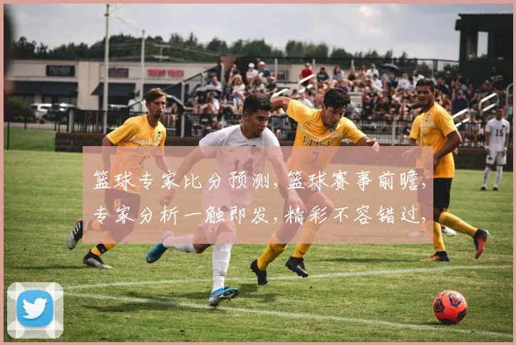 篮球专家比分预测,篮球赛事前瞻,专家分析一触即发,精彩不容错过,比分预测在即。